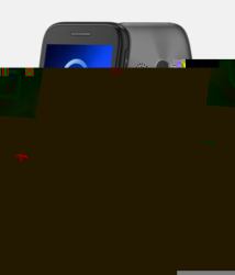 Alcatel 2019 Metallic Gray 6,1 cm [2.4"] 80 g Grigio Telefono per anziani 