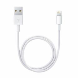 Apple Cavo da lightning a USB 0.5mt 