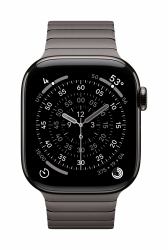 Apple Bracciale a maglie ardesia [42 mm] 