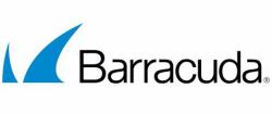 Barracuda Networks Backup Server 1 mese[i] 