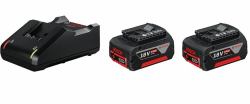 Bosch 1 600 A01 9S0 batteria e caricabatteria per utensili elettrici Set batteria e caricabatterie 