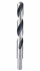 Bosch Punta elicoidale HSS PointTeQ 