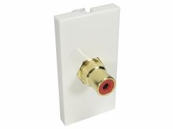 Cables Direct AV-MOD1RCARD presa energia RCA Bianco 