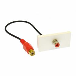 Cables Direct ZZ-MOD-1RCAR modulo Keystone 