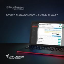 DataLocker SafeConsole Device Management License with Anti-Malware Renewal 1 Year 1 licenza/e 1 anno/i 