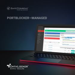 DataLocker SafeConsole PortBlocker Managed USB DLP Renewal 3 Years 1 licenza/e 3 anno/i 