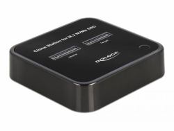 DeLOCK Docking Station M.2 per 2 x M.2 NVMe PCIe SSD con funzione di clonazione 