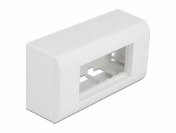 DeLOCK Alloggiamento da parete per moduli Easy 45 da 152 x 82 mm, bianco 