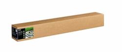 Epson C13S450279NQ carta per plotter 15 m 111,8 cm 