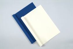 Fellowes 53176 cartellina A4 Plastica, PVC Blu 100 pz 