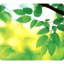 Fellowes 59038 tappetino per mouse Verde 