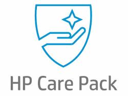 HP 1/1/1 Mini Warranty 1 anno/i 