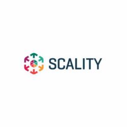 HPE Scality RING Flash Geo Aware 200TB-1PB SW[per TB]with REST and SWIFT Base E-LTU for HP ProLiant Srvs Conservazione locale 