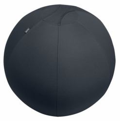 Leitz Ergo Grigio Interno Sfera 