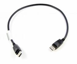 Lenovo 0.5m DisplayPort 0,5 m Nero 
