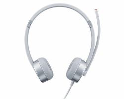 Lenovo 100 Auricolare Cablato A Padiglione Ufficio Argento 