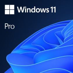 Microsoft Windows 11 Pro 1 licenza/e 