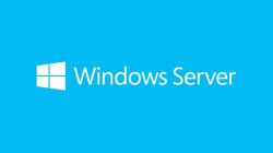 Microsoft Windows Server 2019 Datacenter 1 licenza/e 