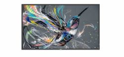 Philips 43BDL3511Q/00 visualizzatore di messaggi Pannello A digitale 109,2 cm [43"] 400 cd/m² 4K Ultra HD Nero 18/7 