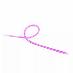Philips by Signify Philips Hue White and Color ambiance Lightstrip da esterni 2 metri 