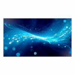 Samsung UM46N-E LCD Interno 