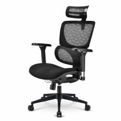 Sharkoon OfficePal C40 Seduta imbottita Schienale a rete 