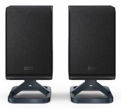 Sharp HT-SPR52021[BK] altoparlante Nero Wireless 66 W 