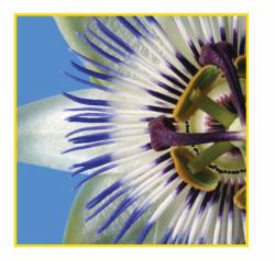 Sihl PosterColor X Bianco Opaco 