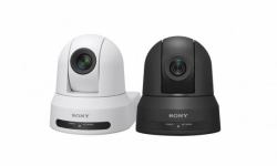 Sony Professional SRGL-4K licenza per software/aggiornamento 1 licenza/e 