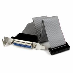 StarTech.com Adattatore cavo collettore porta parallela 40 cm basso profilo con staffa – DB25 [F] a IDC26 