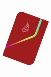 SureFire PyroDrive Gaming SSD 2TB USB tipo-C 3.2 Gen 1 [3.1 Gen 1] Rosso 