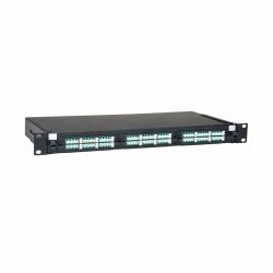 Tripp Lite N492-036-LCLC-E pezzo di pannello 1U 