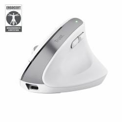 Trust Bayo+ mouse Ufficio Mano destra RF senza fili + Bluetooth Ottico 2400 DPI 