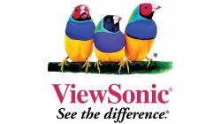 Viewsonic 4YLED DISPLAY estensione della garanzia 1 licenza/e 4 anno/i 