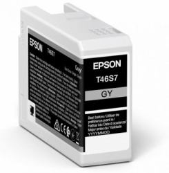 Epson UltraChrome Pro cartuccia d'inchiostro 1 pz Originale Grigio 