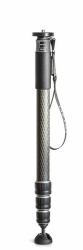 Gitzo GM4542 monopiede per fotocamera 1/4, 3/8" Carbonio Nero 