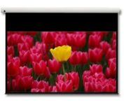 Optoma Panoview 16:9 106" schermo per proiettore 2,69 m [106"] (Optoma Panoview DE-9106EGA - projektio)