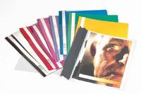 Durable CLEAR VIEW FOLDER 2570 A4 cartellina con fermafoglio Rosso (Durable Clear View A4 Folder Red [50])