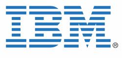 IBM 22R4894 licenza per software/aggiornamento 