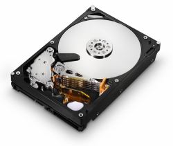 Hitachi Ultrastar A7K2000 1TB disco rigido interno 7200 Giri/min 32 MB 3.5" Seriale ATA II 