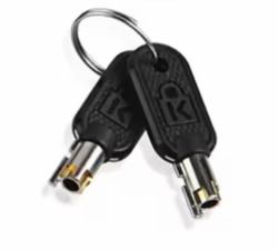 Lenovo 4Z10P40249 accessorio per il blocco dei cavi Chiave Grigio (KENSINGTON MICROSAVER 2.0 MASTERKEY)
