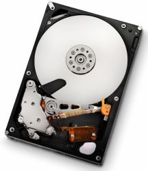 Hitachi 1TB SATAII 32MB - **Refurbished** - Warranty: 12M