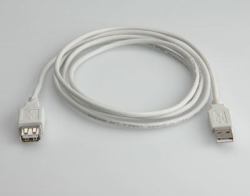 B42989250