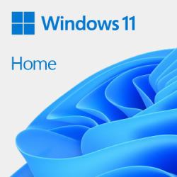 Microsoft Windows 11 Home 1 license[s] (Microsoft Windows 11 Home 64bit English OEI DVD Operating Software)
