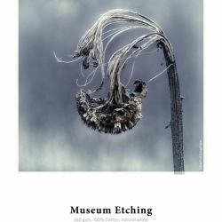 Hahnemühle Museum Etching Naturale, Bianco Opaco (MUSEUM ETCHING-17IN 12M 350GSM)
