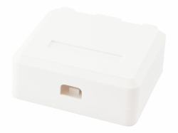 Equip 125124 cassetta di scarico Bianco (2-Port Keystone Jack Surface - Mount Box - Warranty: 12M)