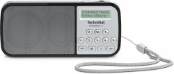 TechniSat RDR Portatile Analogico e digitale Argento (Rdr Portable Analog & Digital - Silver - Warranty: 12M)