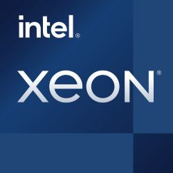 Intel Xeon E-2436 processore 2,9 GHz 18 MB Vassoio (INTEL CPU XEON E-2436 2.9GHz 6C 18MB)