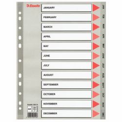 Esselte 100114 intercalare (Esselte register PP A4 Jan-Dec [GB] gr)