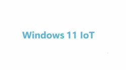 Advantech Win 11 IoT Ent Commerciale 1 licenza/e Download di software elettronico [ESD] Inglese 2...
